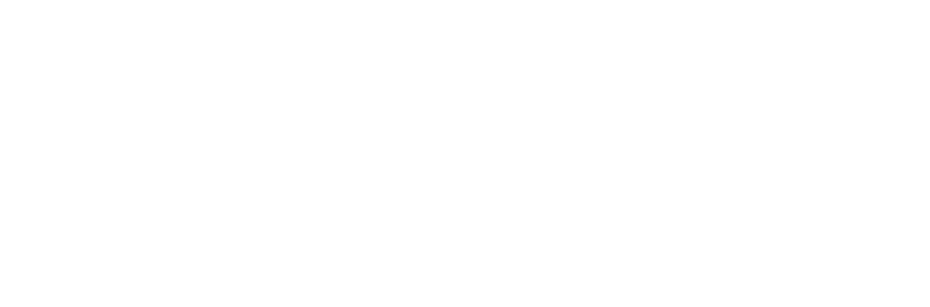 iRise